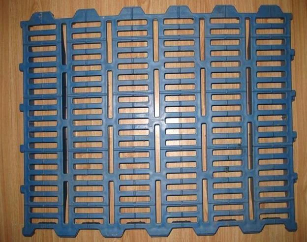 Plastic Pig Floor
